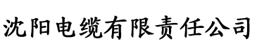 大香蕉影院导航电缆厂logo